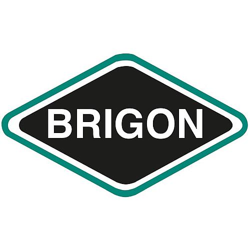Brigon calculateur de fuite de gaz pour fioul, gaz Standard 2
