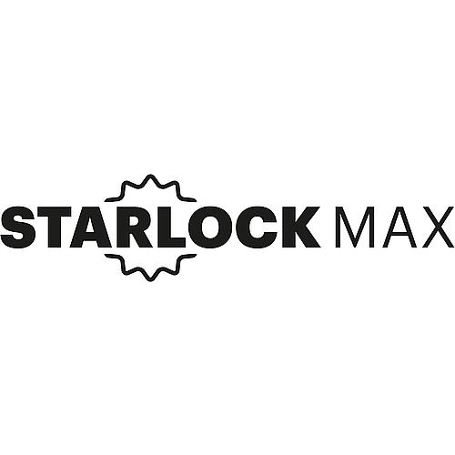 Râpe en métal dur fine, longueur d'arête 110 mm perforé, STARLOCK MAX Logo 2