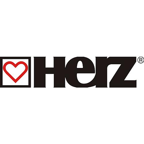 Grille en fonte détecteur BES, compatible : Herz pelletstar 10-60 Logo 1