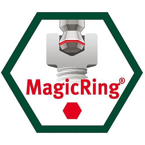 Clé à ergots hexagonale à tête sphérique, longue avec MagicRing®