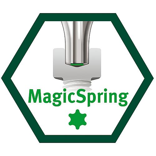 Tournevis Torx® 362R SoftFinish®, MagicSpring®, lame ronde, avec fonction de retenue Piktogramm 3
