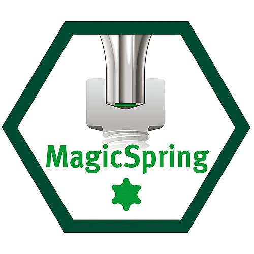 Jeu de clés mâles Torx® MagicSpring® dans un support, 7 pièces Piktogramm 2