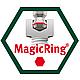 Clé pour serrage angulaire à six pans creux et à tête sphérique 369R Clé à ergots, chromée mate, avec MagicRing®. Piktogramm 4